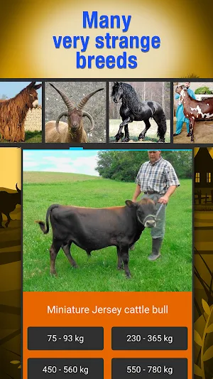 Animal weight Quiz - trivia Screenshot 3