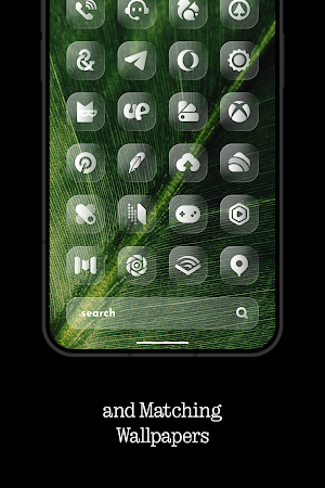 Glass Icons Screenshot 3