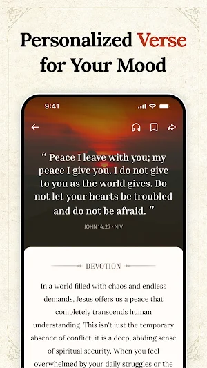Bible Daily, KJV+ Audio&Prayer Screenshot 3