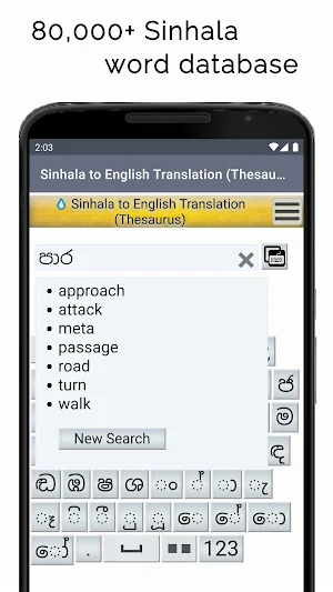 Sinhala to English Translation Screenshot 3
