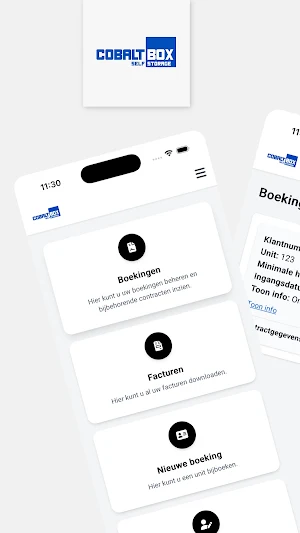 Cobalt Box Screenshot 0