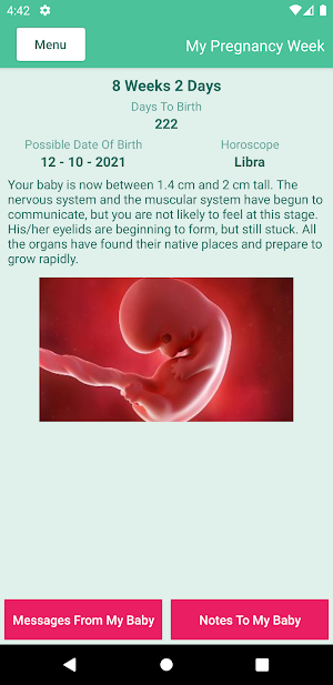 Pregnancy Tracking Screenshot 0