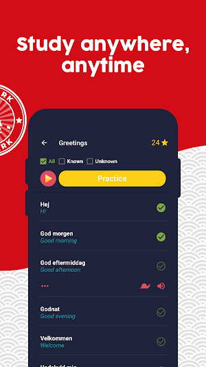 Learn Danish - Beginners Screenshot 1