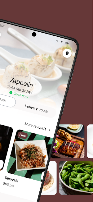 Zeppelin Screenshot 1