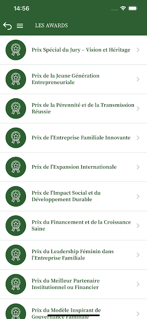 FIAGEF Screenshot 2