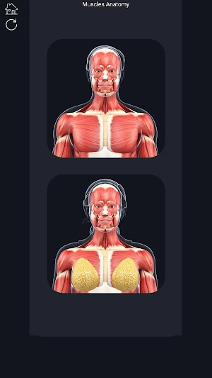 Muscle Anatomy Pro. Screenshot 0