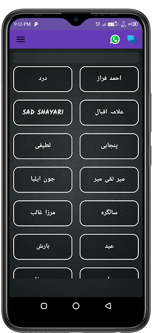 Urdu Poetry  & Status Offile Screenshot 0