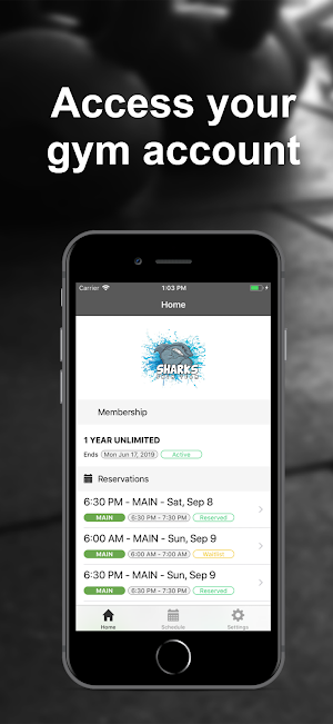 Sharks team Screenshot 0