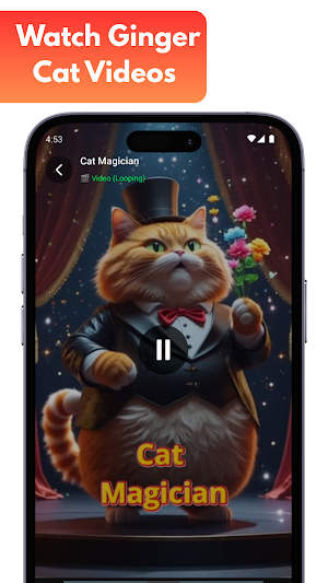 Amazing Cat Adventures Screenshot 3