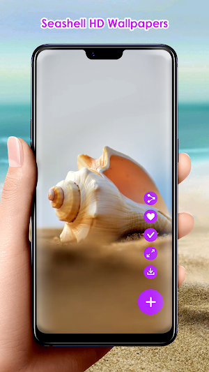 Seashell HD Wallpapers Screenshot 1