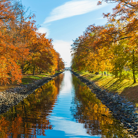Nature wallpapers