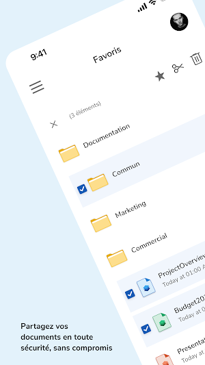 NetExplorer Workspace Screenshot 1