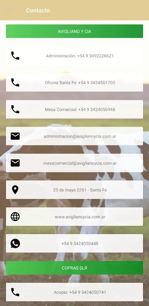 Avigliano y CIA SRL Screenshot 3