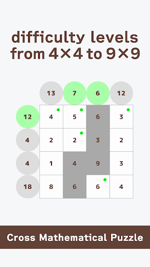 Cross Mathematical Puzzle Screenshot 1