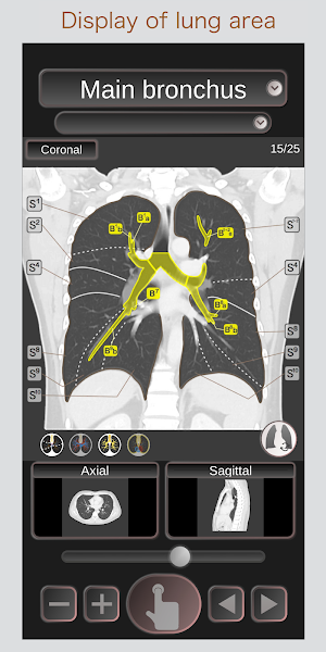 CT Passport Chest / sectional anatomy / MRI Screenshot 2