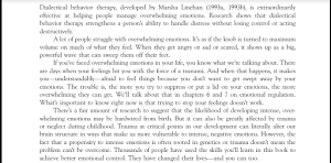 The Dialectical Behavior Screenshot 0