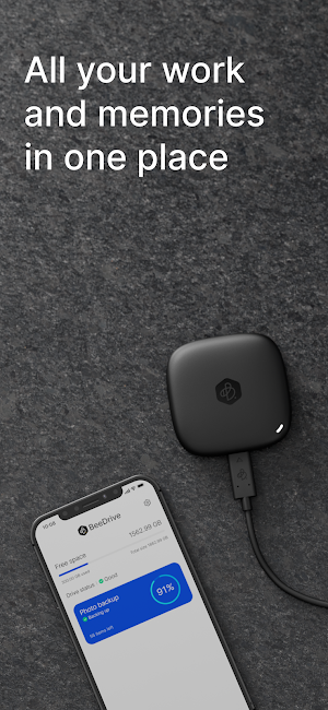 BeeDrive Screenshot 0