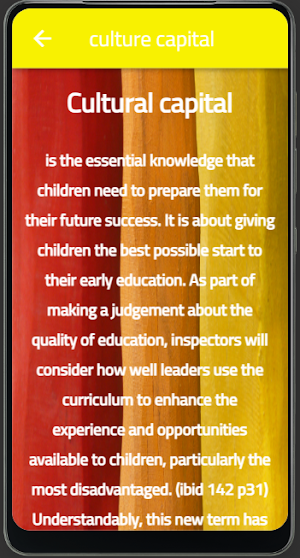 culture : culture capital Screenshot 3
