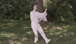 Tai Chi for Beginners - 48 Form (YMAA) Screenshot 3