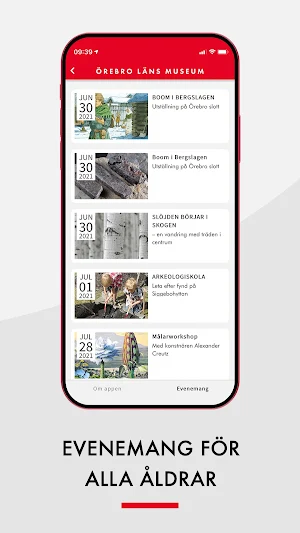 Örebro Läns Museum Screenshot 3