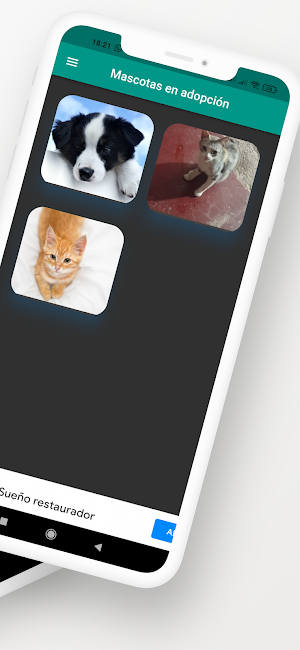 Beethoven Screenshot 1