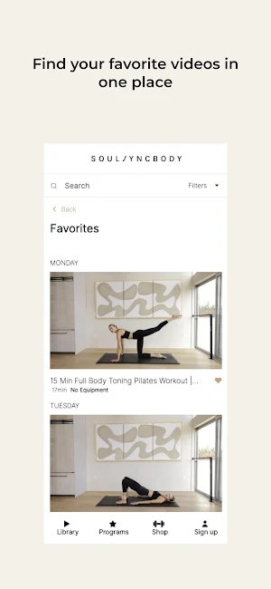 SoulSyncBody Screenshot 1