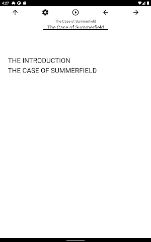 Book, The Case of Summerfield Screenshot 2
