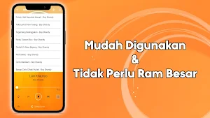 Lagu Minang Boy Sandy Offline Screenshot 2