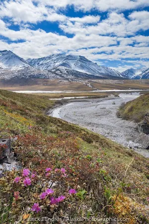 Alaska Wallpaper HD Screenshot 3