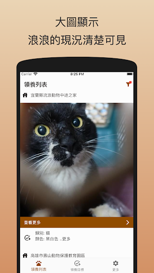 浪浪不流浪 - 台灣流浪動物認養/領養資料庫 Screenshot 0