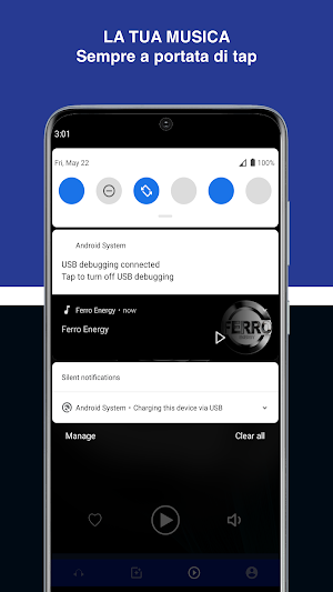 Ferro Energy Screenshot 2