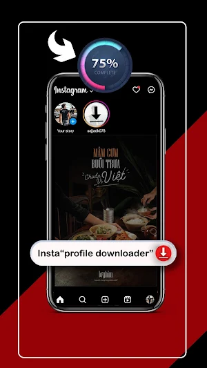 Snaplink All Video Downloader Screenshot 3