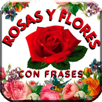 Rosas Rojas Hermosas Flores