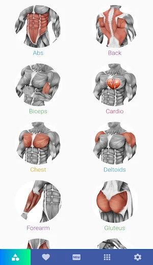 Muscle Exercies Screenshot 0