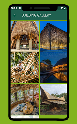 Bamboo Craft Ideas Screenshot 2