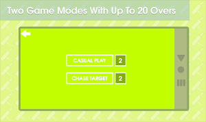 Cricket Minimalist Game Screenshot 1
