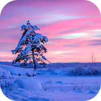 Winter Wallpaper 2023