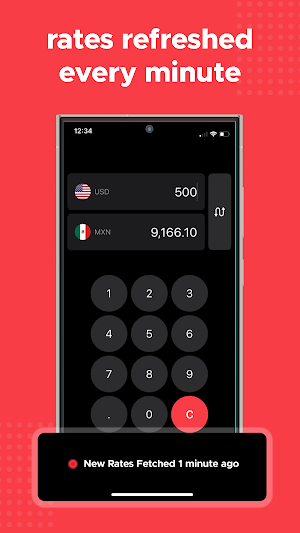 Currency Converter Offline Screenshot 2