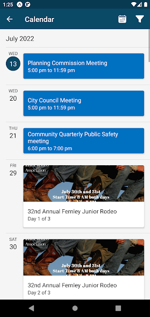 City of Fernley Screenshot 3