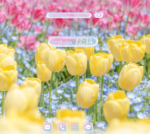 Tulips ＆ Nemophila Theme +HOME Screenshot 1
