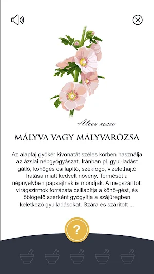 Sóstói gyógynövénykert Screenshot 2