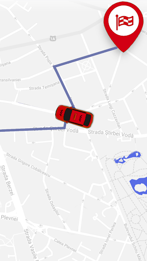 Taxi Dismolex Sofer Screenshot 2