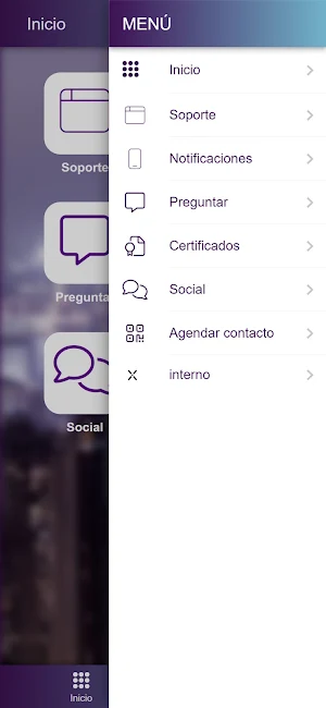 Levex Screenshot 1