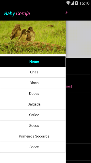 Baby Coruja Screenshot 1