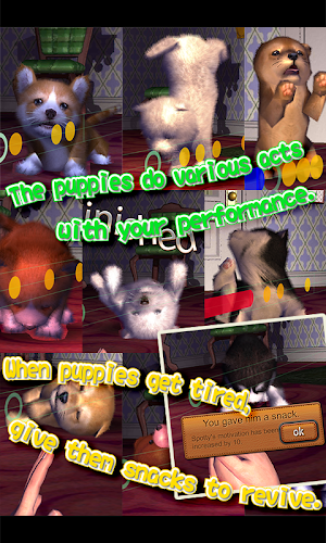 Animal Dance puppies Screenshot 2