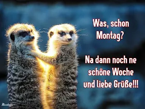 Schöne Woche und Wochenende Screenshot 2