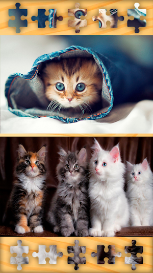 Cats Kittens Puzzles Jigsaws Screenshot 1