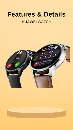 Huawei Watch App Hints Screenshot 3