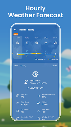 Live Weather Forecast & Widget Screenshot 0
