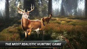 The Hunter 3D : Hunting Game Screenshot 0